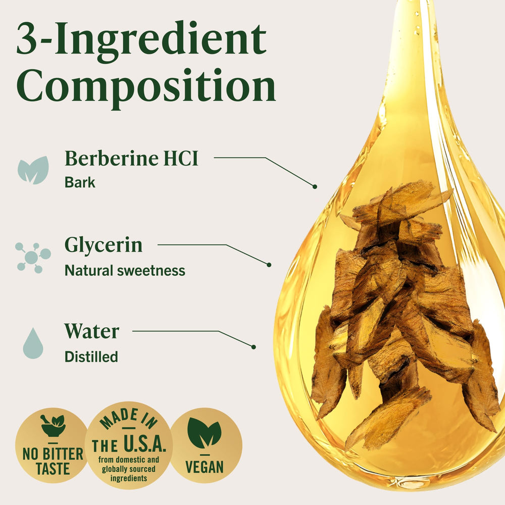 Herbamama Berberine liquid drops absorption graphic shows rapid uptake for quick support.