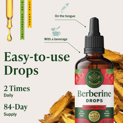 Herbamama Berberine liquid drops in glass shows easy mixing into water for daily use.
