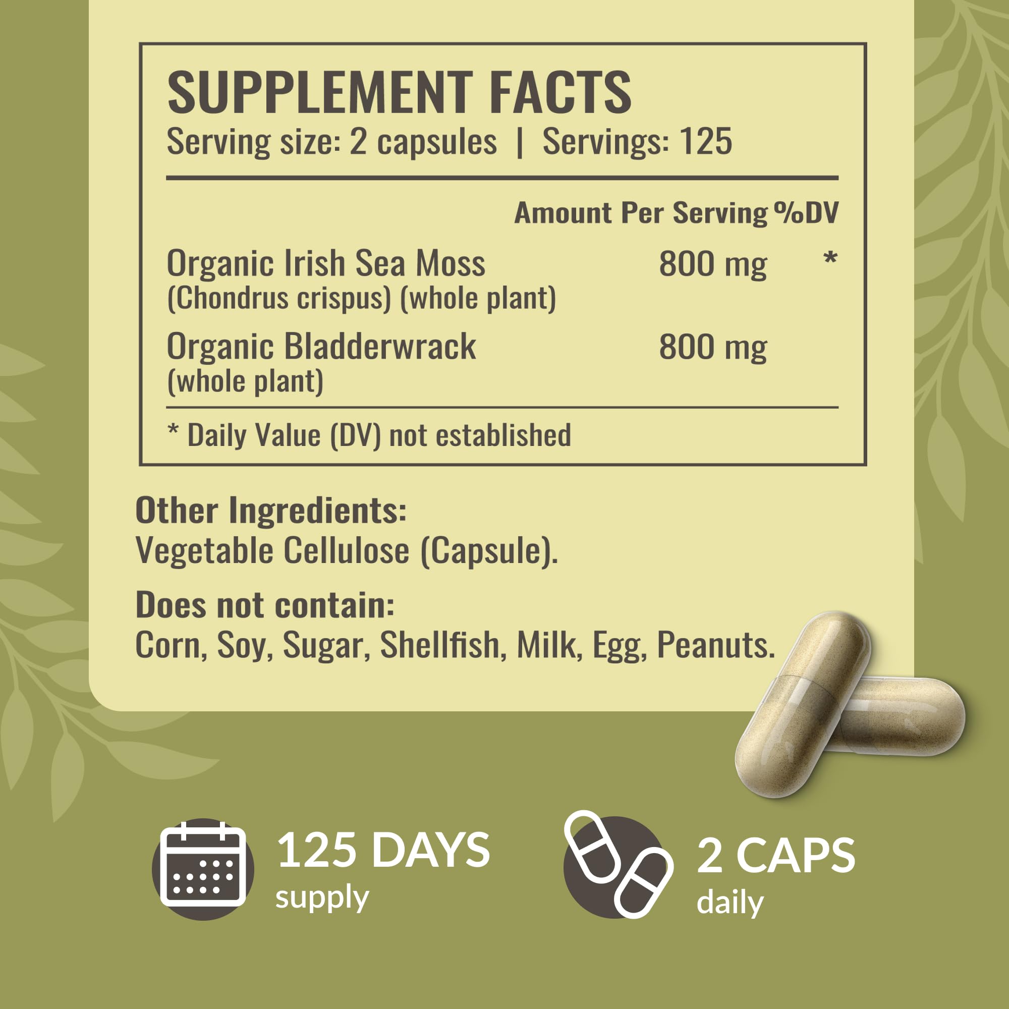 HERBAMAMA bladderwrack powder tub closeup highlighting natural seaweed blend