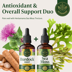 HERBAMAMA Burdock Root Tincture beside a juice glass for versatile daily use.
