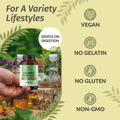 HERBAMAMA capsules on the go with glass of water illustrating daily routine