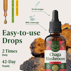 HERBAMAMA chaga tincture promotes fast absorption in minutes.