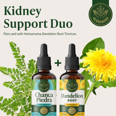 Herbamama Chanca Piedra three-ingredient formula emphasizes simplicity.