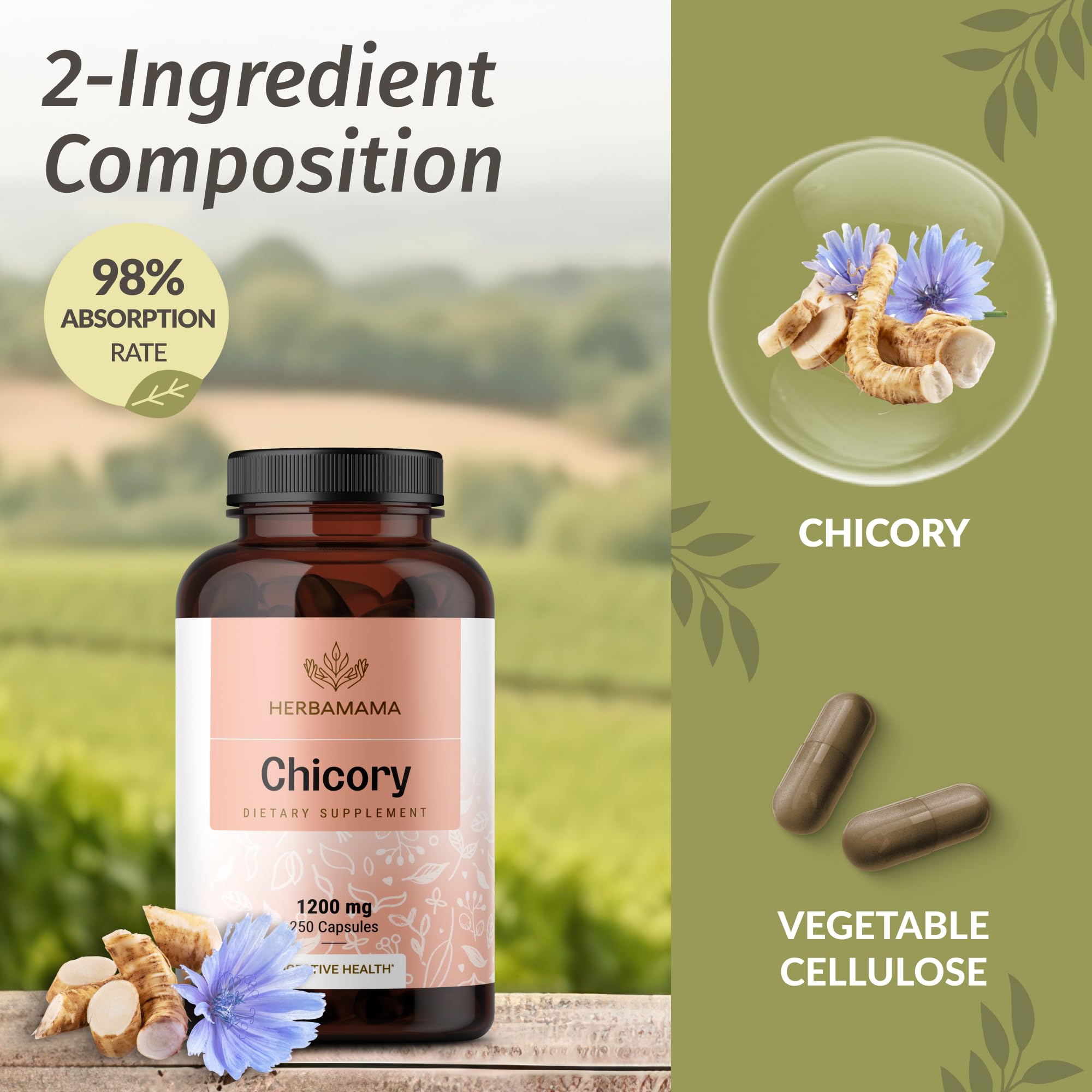 Herbamama Chicory Root Fiber capsules being dispensed for easy daily use.