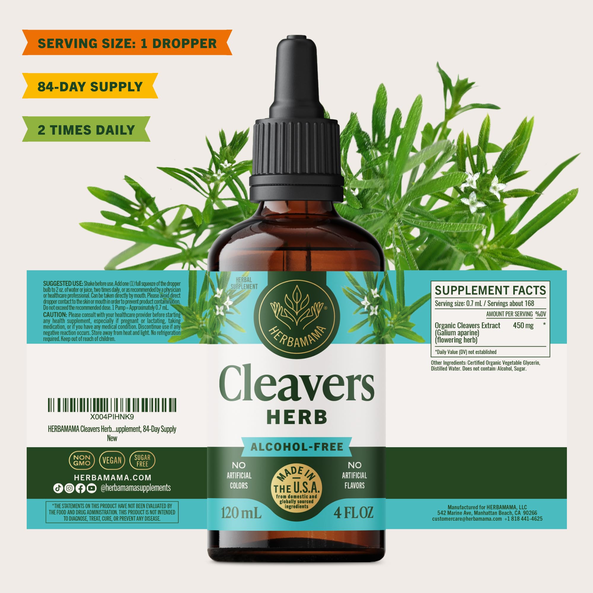 Herbamama Cleavers tincture absorption graphic suggesting quick uptake.