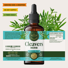 Herbamama Cleavers tincture absorption graphic suggesting quick uptake.