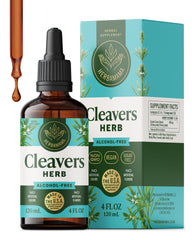 Herbamama Cleavers leaf tincture bottle highlighting gentle detox support.