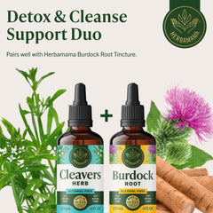 Herbamama Cleavers tincture vegan formula with glycerin and water.