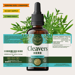 Herbamama Cleavers tincture vegan and non-GMO badge visible.