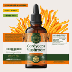 HERBAMAMA Cordyceps tincture integrated into daily routine for wellness support.