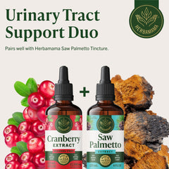 Herbamama Cranberry tincture in a cozy kitchen scene suggests daily wellness.