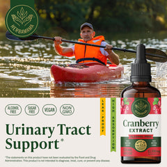 Herbamama Cranberry tincture dropper close-up for fast absorption.
