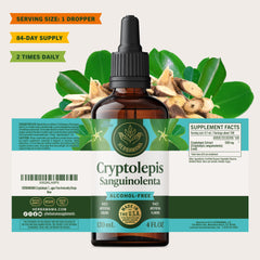 Daily use setup for vegan, alcohol-free wellness routine