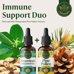 Packaging emphasizes three-ingredient, vegan tincture simplicity.