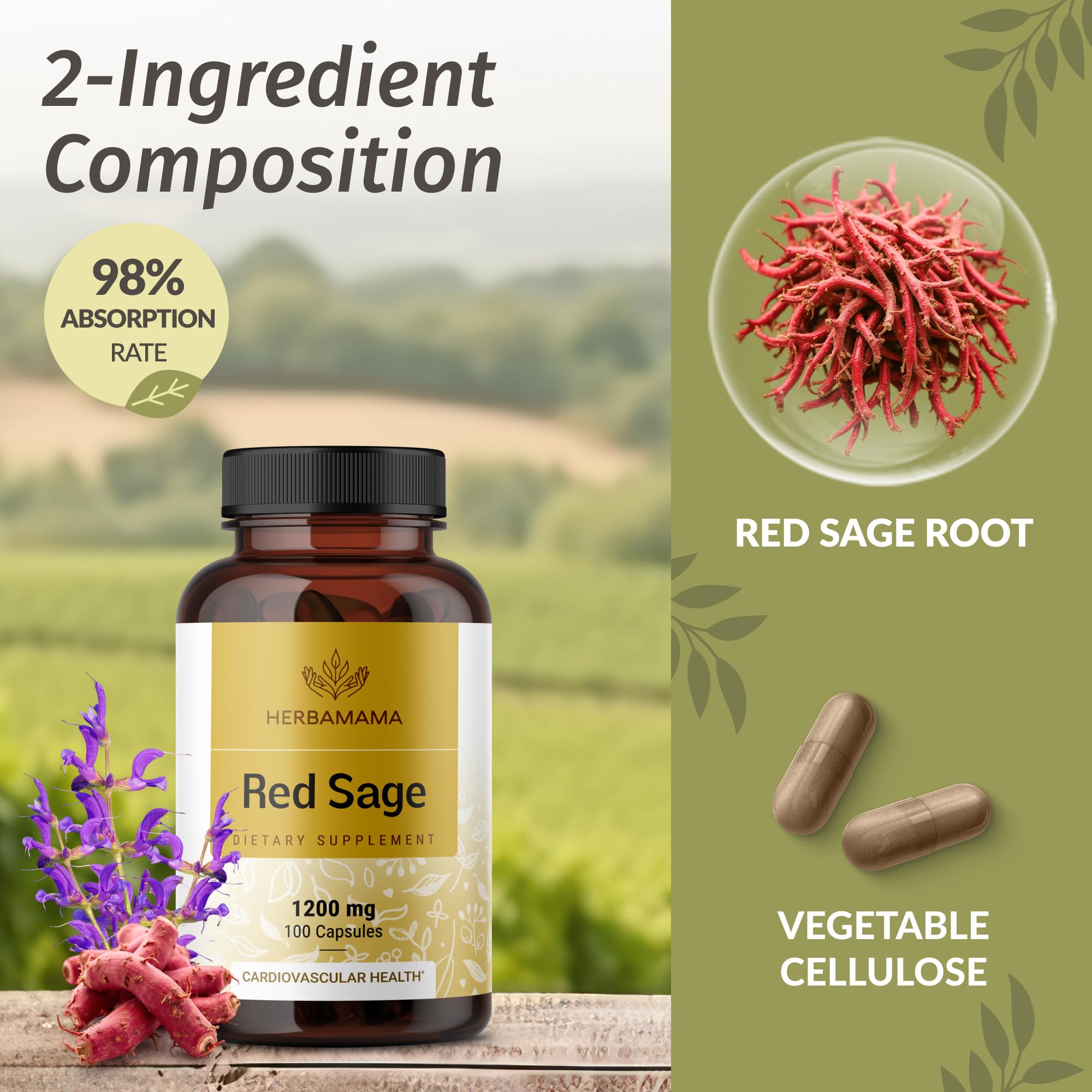 Raw Dan Shen root used as the red sage source in HERBAMAMA
