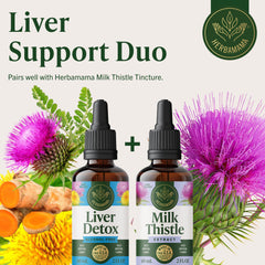 Label-close shot emphasizing a 42-day supply and plant-based ingredients.