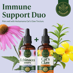 Label indicating a 56-day supply for Herbamama Echinacea tincture