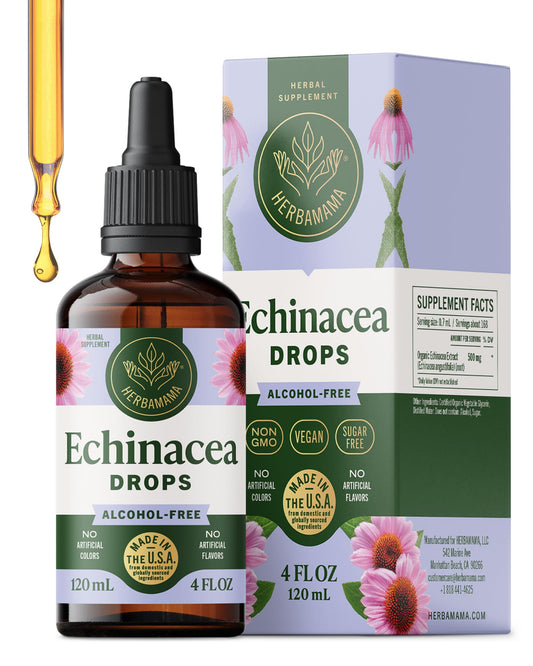 Herbamama Echinacea tincture bottle showing vegan, alcohol-free formula for immune support