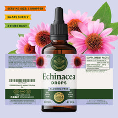 Herbamama Echinacea tincture being added to a drink for daily use