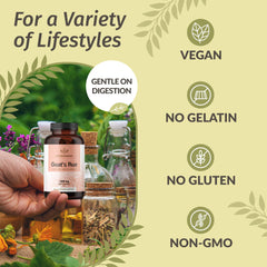 HERBAMAMA Goat's Rue vegan, non-GMO capsules for clean lactation support.