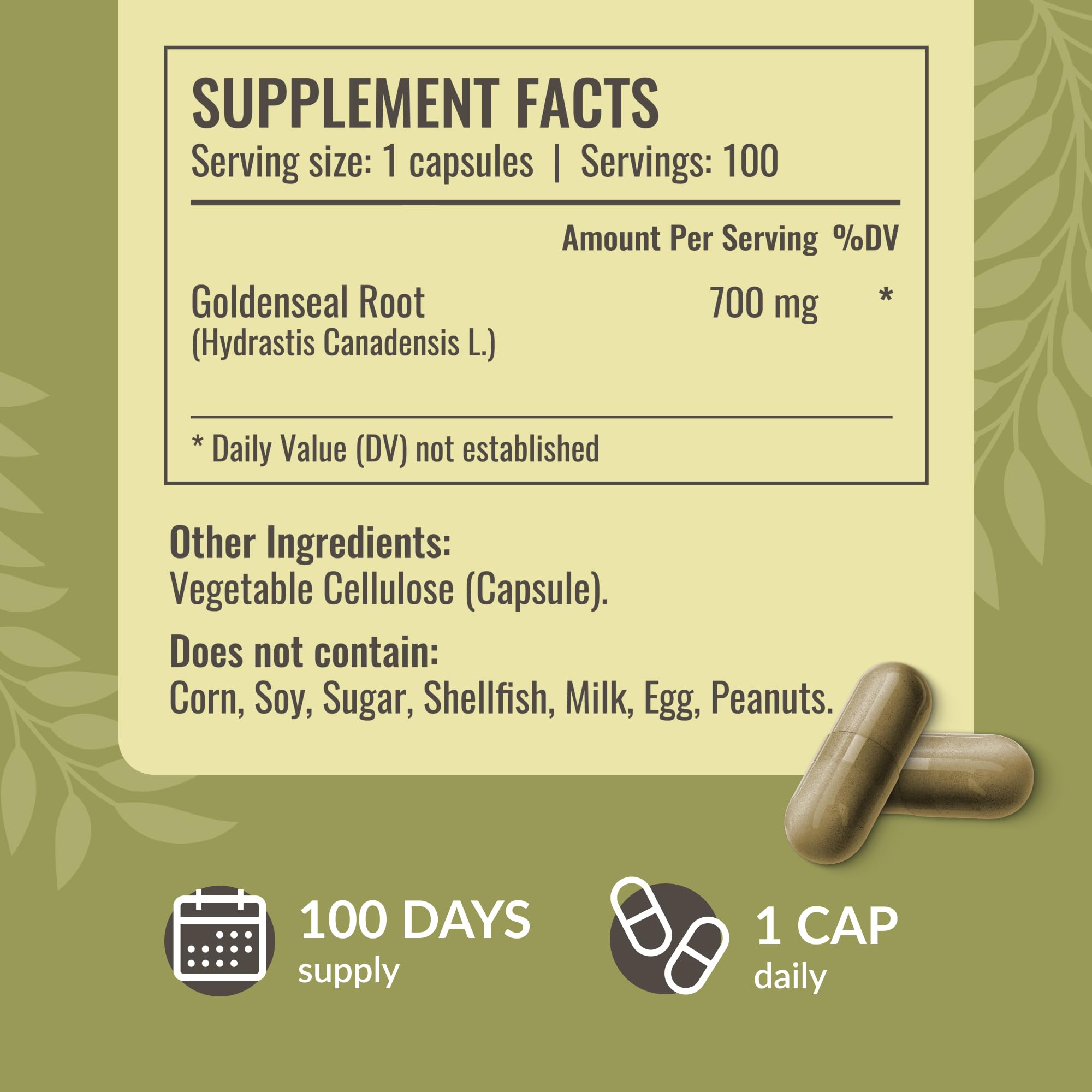 Compact packaging shows a vegan, non GMO two ingredient supplement