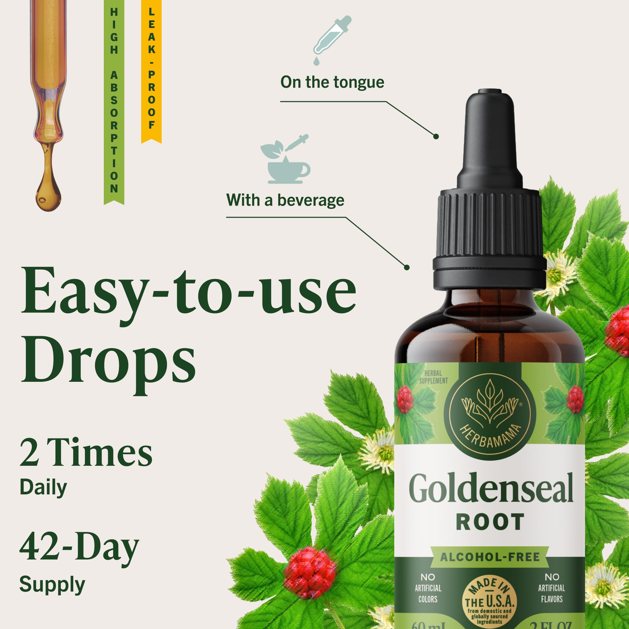 Herbamama Goldenseal tincture beside a glass of water for easy mixing