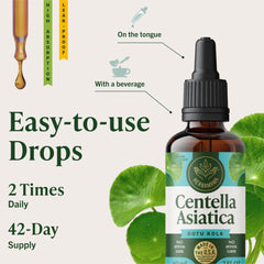 Herbamama Gotu Kola tincture bottle with vegan, alcohol-free label.