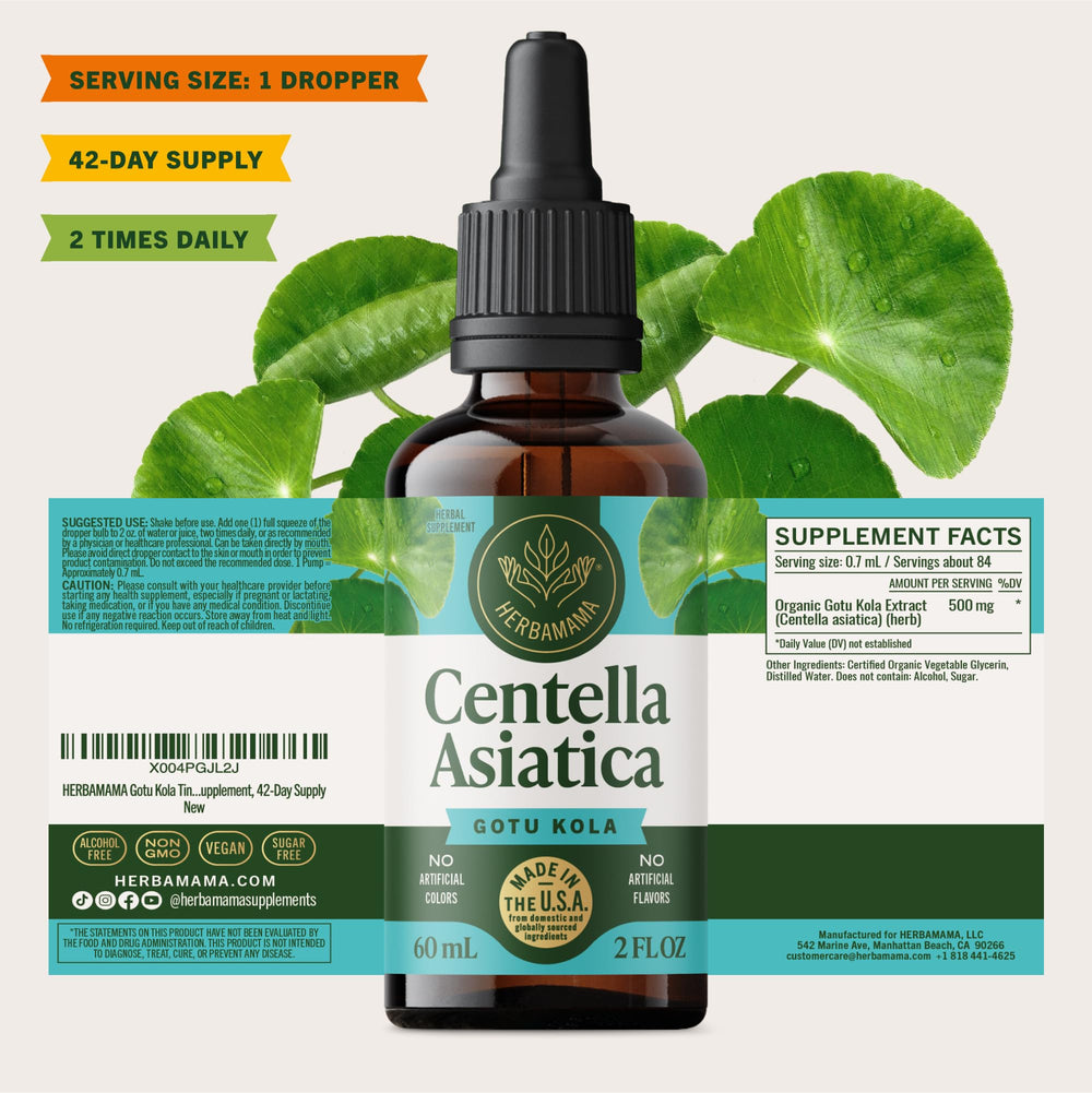 Herbamama Gotu Kola tincture bottle and glass illustrate a 42-day supply.