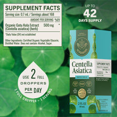 Herbamama Gotu Kola liquid close-up shows glycerin-based extract for smooth taste.