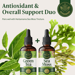 Morning routine with vegan, non-GMO green tea drops.