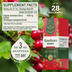 Hawthorn berries close-up; natural extract source for antioxidants