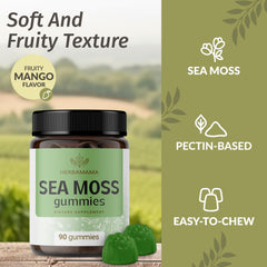 HERBAMAMA Irish Sea Moss Gummies on-the-go pack for travel-friendly daily use.