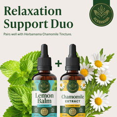 HERBAMAMA Lemon Balm tincture bottle on wooden surface for everyday use
