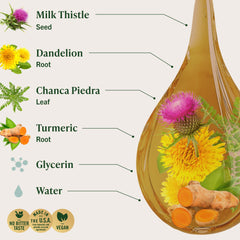 HERBAMAMA Liver Detox Drops dispensed into a glass of water.