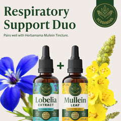 HERBAMAMA Lobelia tincture under-tongue-use setup for quick daily use.