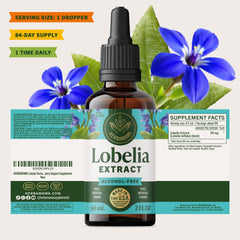 HERBAMAMA Lobelia tincture on kitchen counter signals simple daily ritual.