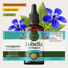 Lobelia tincture under tongue use for fast absorption and convenience.