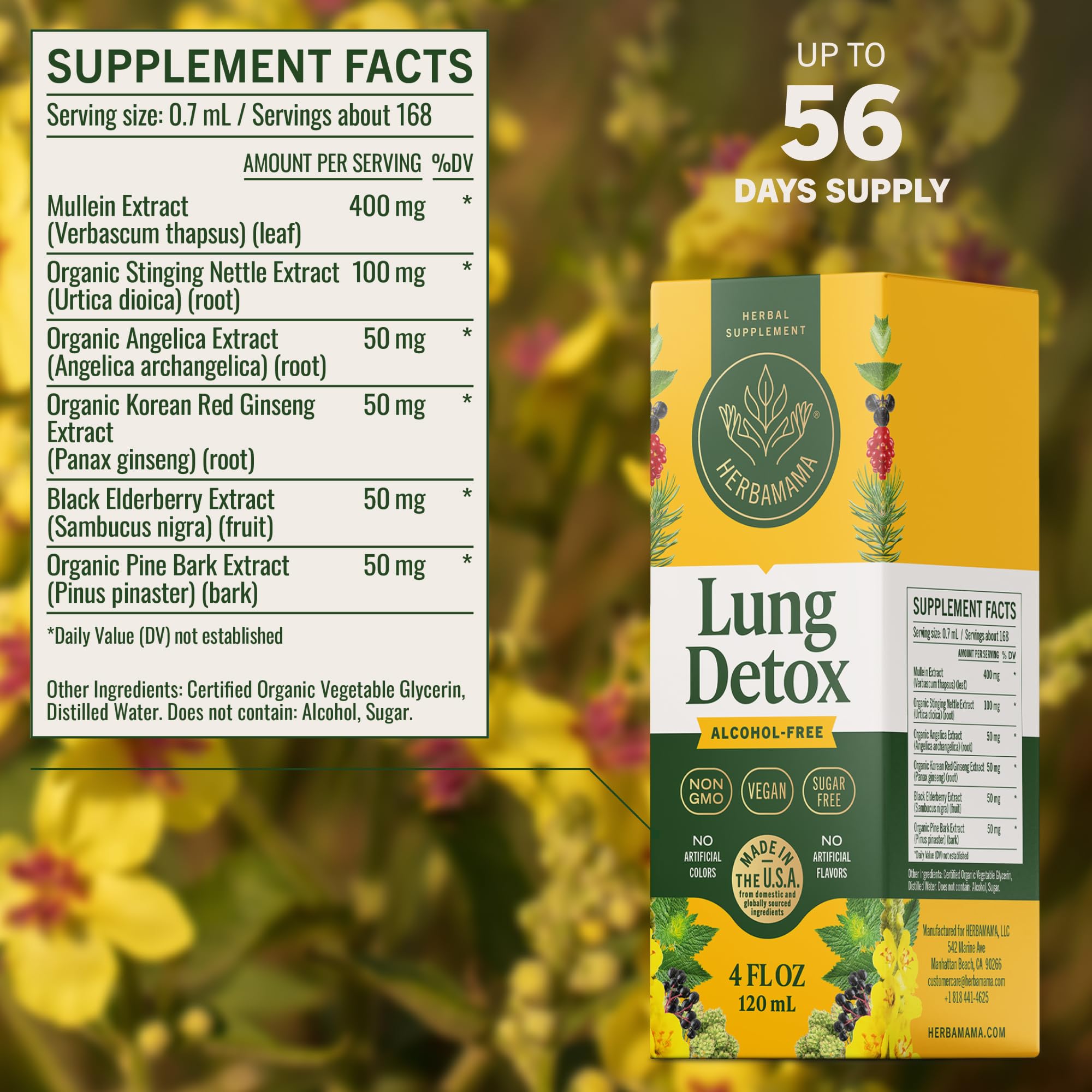 Glass of water with HERBAMAMA Lung Cleanse Drops for daily intake.