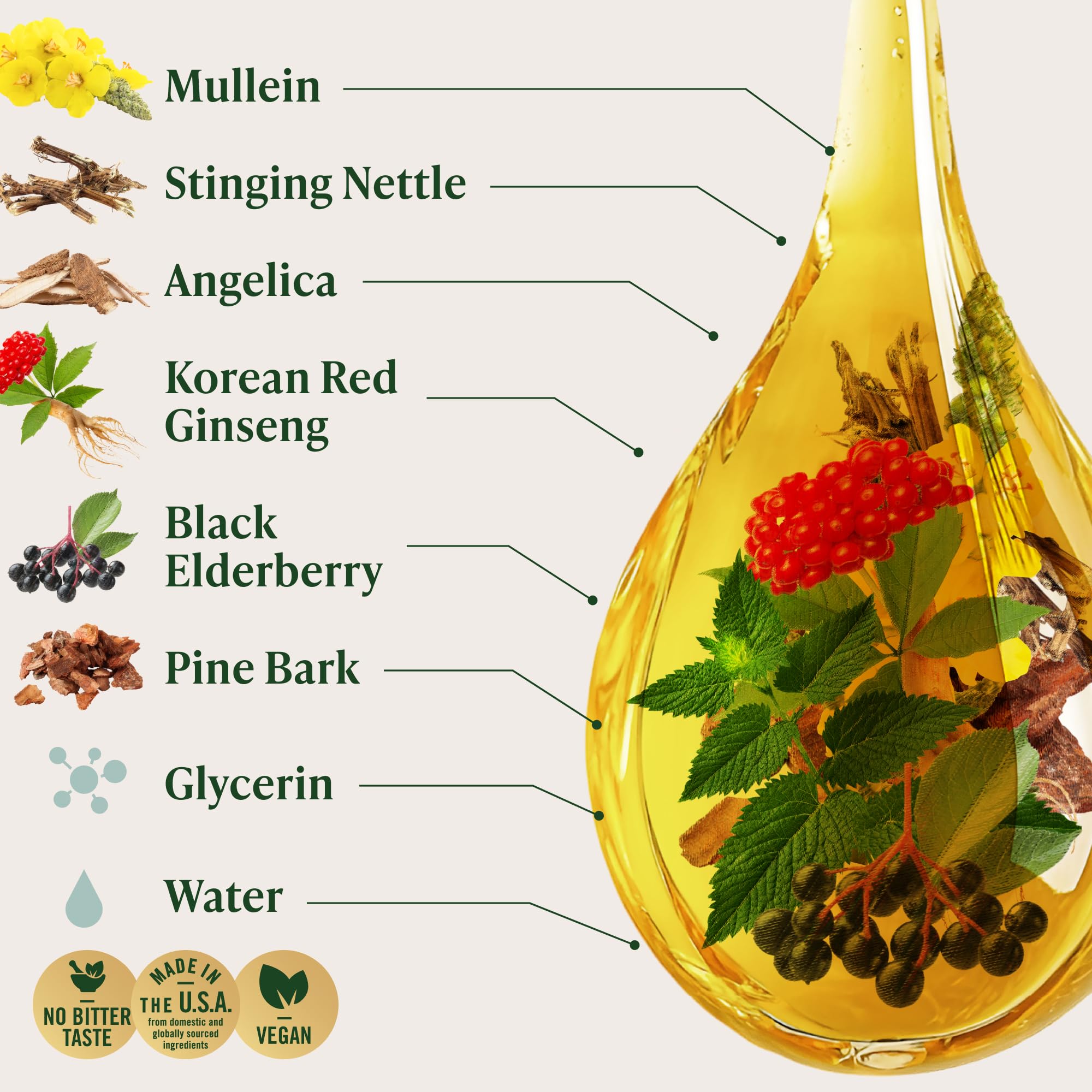 Mullein leaf extract shown as part of HERBAMAMA Lung Cleanse Drops ingredients.