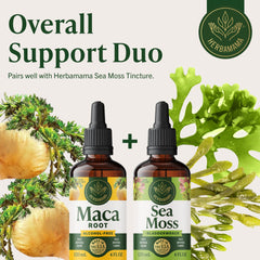 HERBAMAMA Maca drops close-up reveals glycerin base