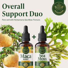Herbamama Maca is vegan non-GMO alcohol free and sugar free.