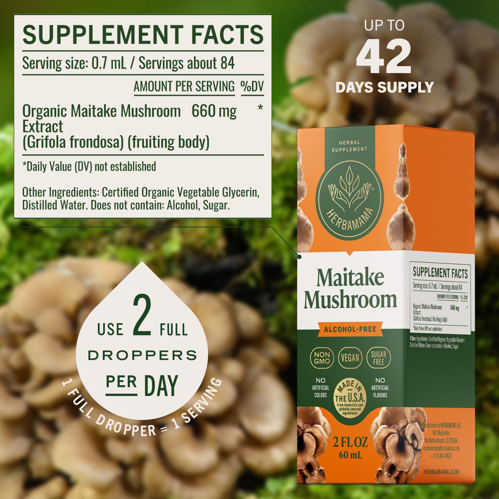 Herbamama Maitake tincture under tongue for fast absorption and quick use
