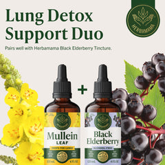 HERBAMAMA Mullein Drops lifestyle-friendly solution for breath support