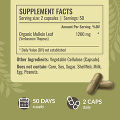 HERBAMAMA Mullein Leaf Capsules label emphasizes vegan, non-GMO, additive-free quality.