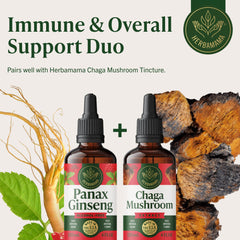 HERBAMAMA Panax Ginseng tincture glass with droplets and dosage visible.