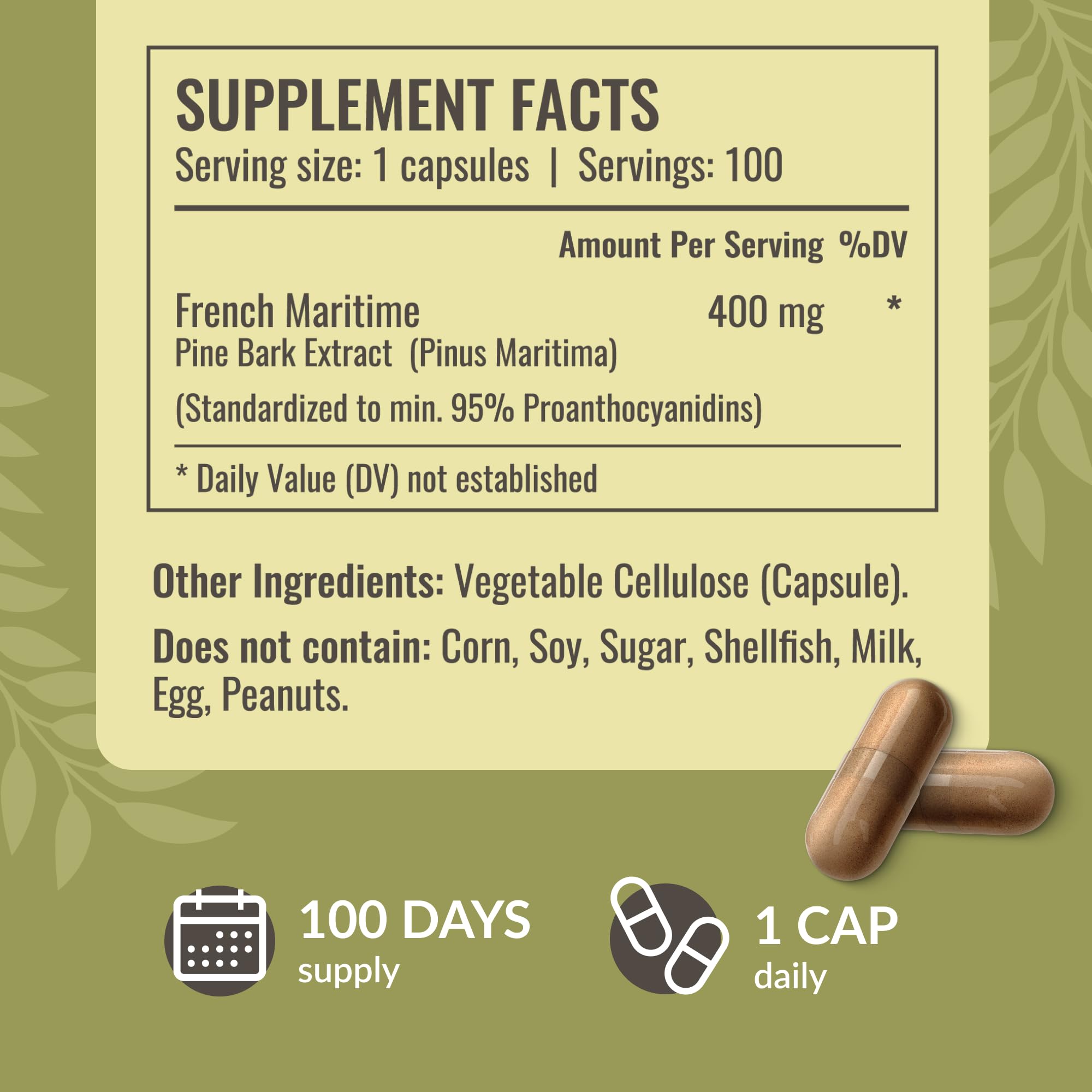 HERBAMAMA pine bark capsule in hand for easy daily intake.