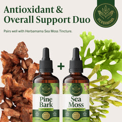 Bottle emphasizes alcohol-free and sugar-free formulation