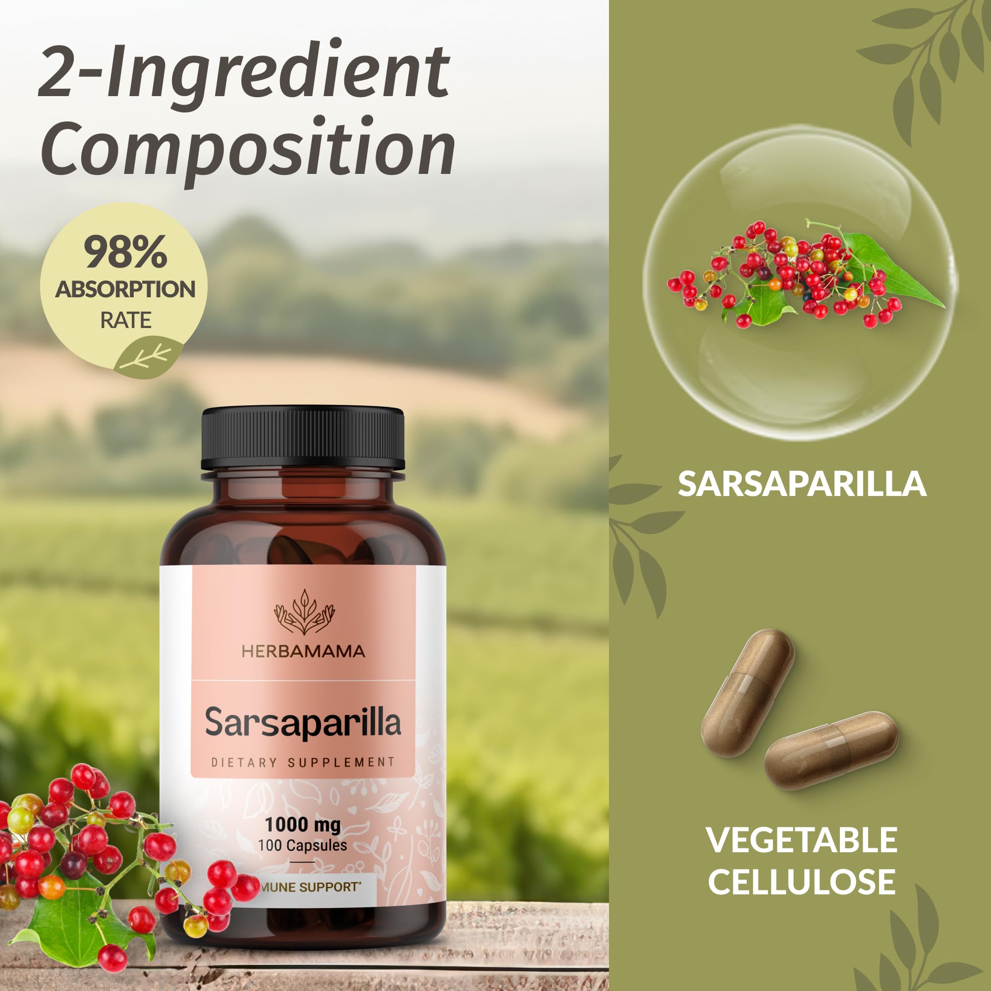 HERBAMAMA Sarsaparilla ingredients display two-ingredient formula.