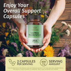 Herbamama sea moss capsules bottle closeup ready for daily routine.