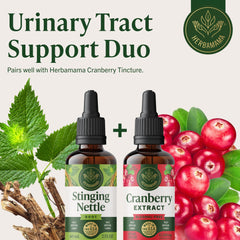 HERBAMAMA tincture on kitchen countertop ready for daily routine.